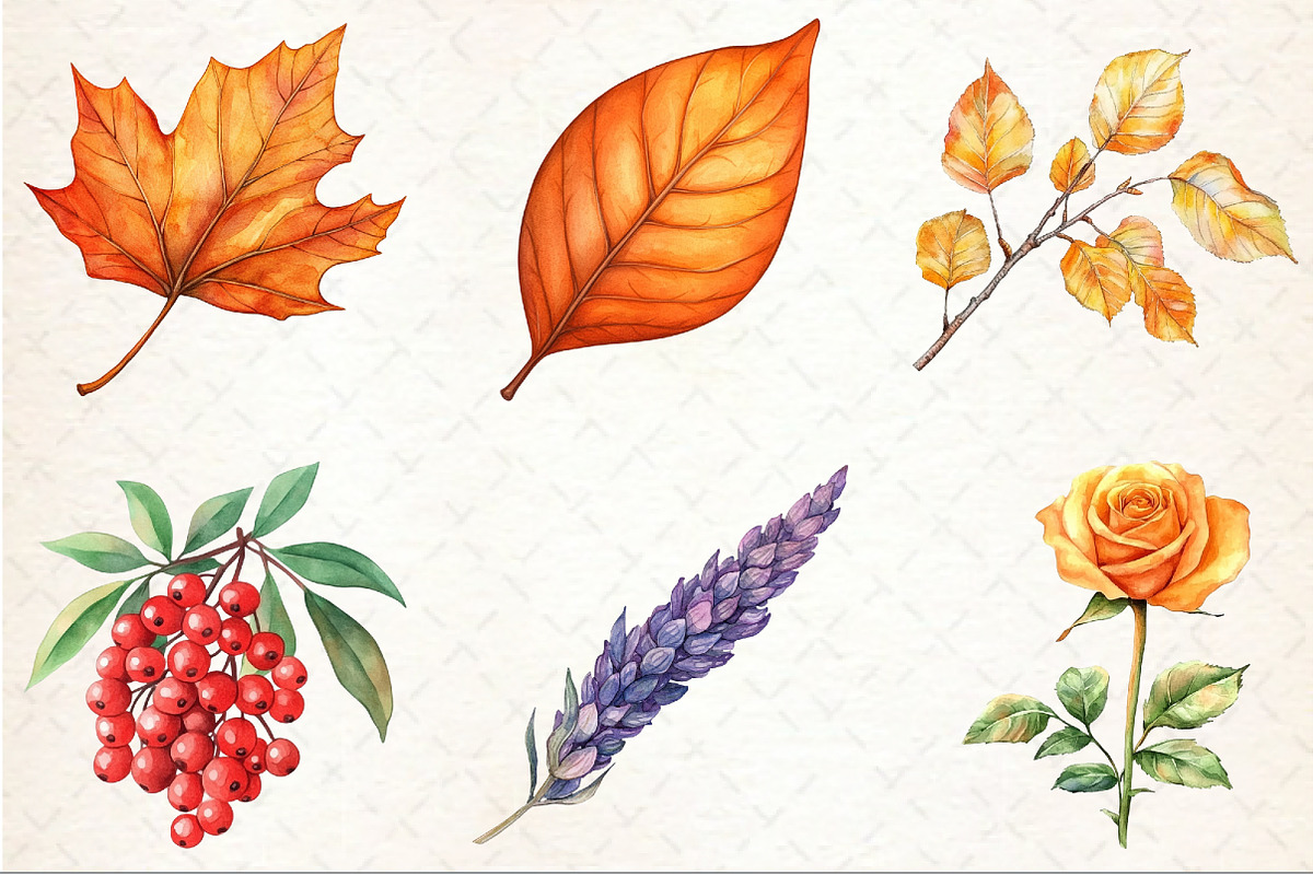 Watercolor Fall Botanical Clipart, an Illustration by Rose Art (Photo 3 of 4)