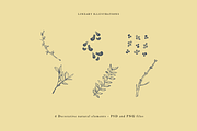 Primavera in Bottega, a Seasonal Illustration by Sara Zanello (Thumbnail 7 of 24)