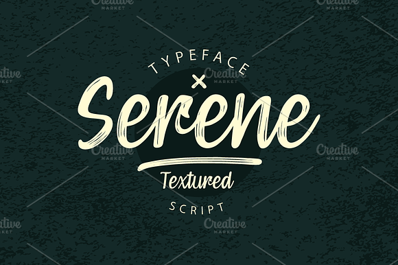 Serene Textured Script preview 7