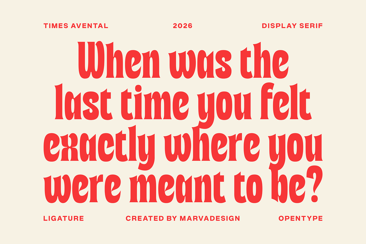 Times Avental Font, a Serif Font by Marvadesign (Photo 10 of 12)
