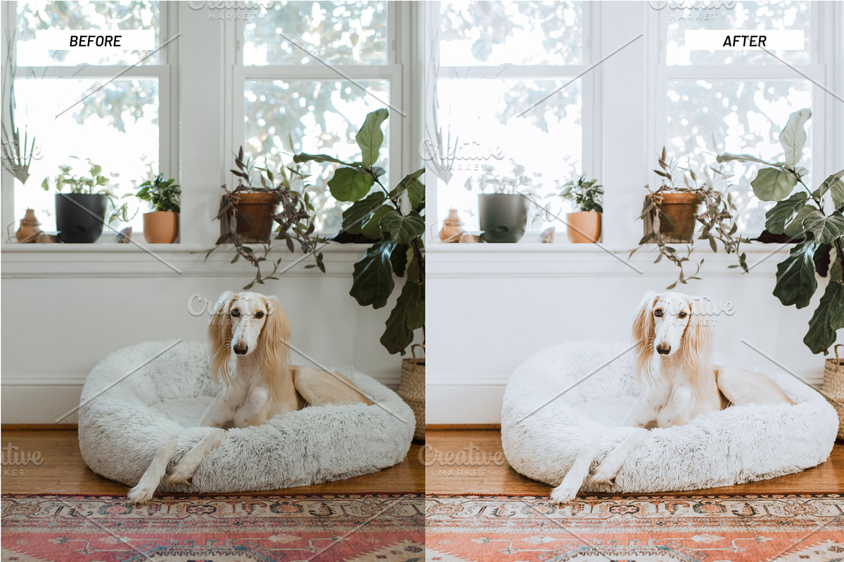Lightroom Presets Home & Interiors, an Action Add-On by Best Lightroom Presets (Photo 5 of 19)