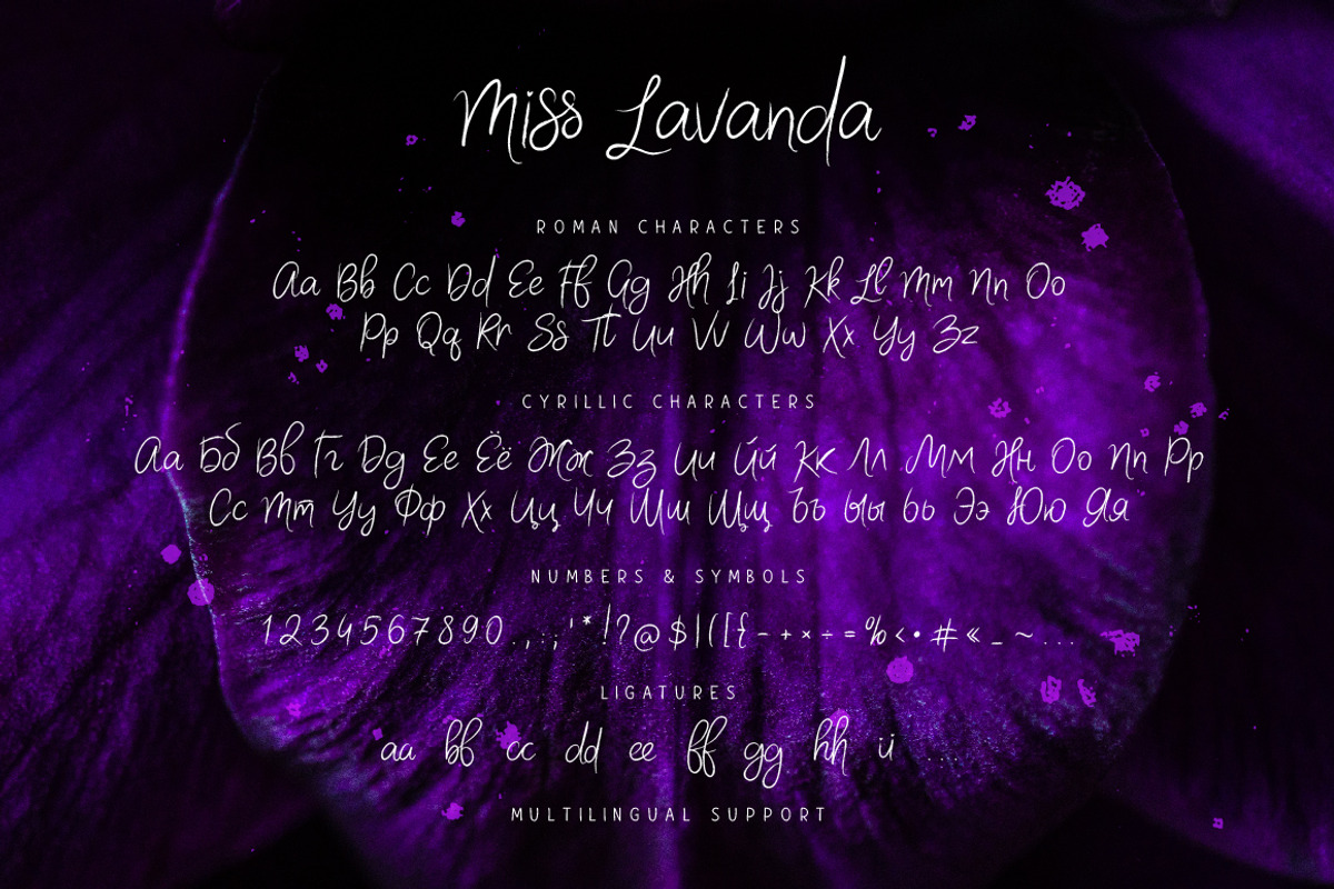 Miss Lavanda preview 6