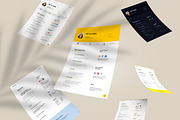 Professional Resume: 5 Themes, a Resume Template by SHOOM HOUSE (Thumbnail 3 of 7)