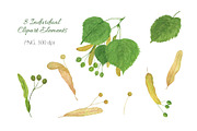 Linden tree leaves and seeds, a Pattern Graphic by Contes_de_fée (Thumbnail 2 of 9)
