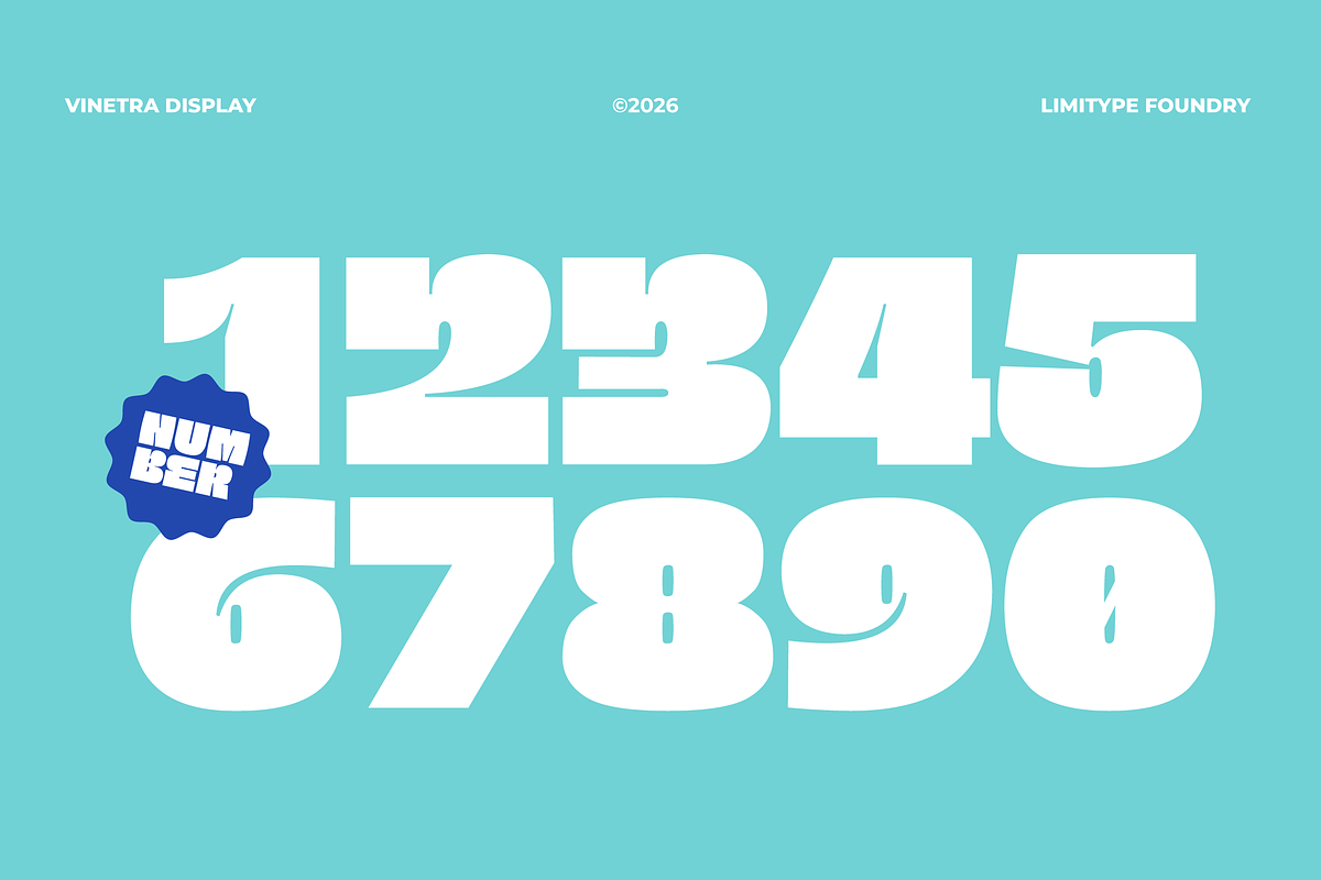 Vinetra - Bold Font, a Sans Serif Font by limitype (Photo 7 of 11)