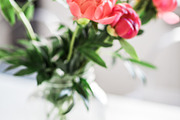 SUPER SALE! Styled Lifestyle Photos, a Business Photo by Nellaino (Thumbnail 3 of 7)