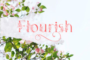 El Katana Family - 72 Font, a Serif Font by madeDeduk (Thumbnail 2 of 11)