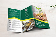 Trifold Business Brochure, a Brochure Template by yanindesign (Thumbnail 2 of 3)