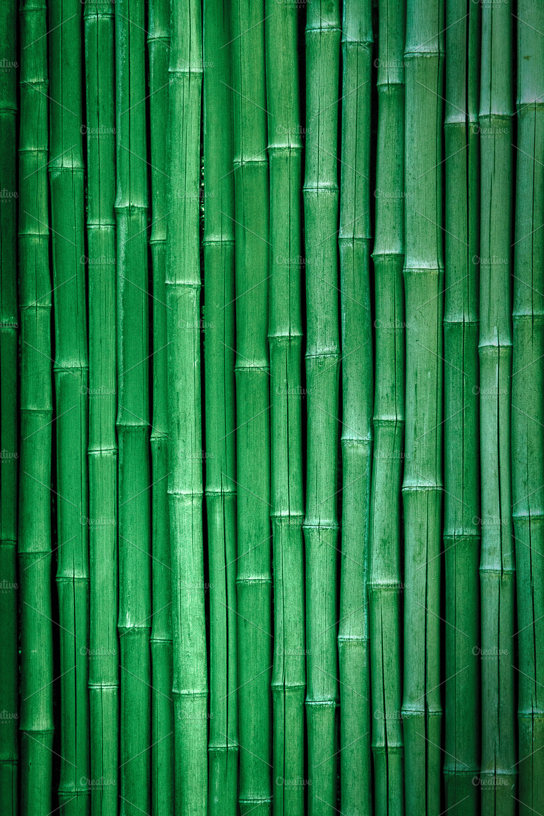 Bamboo Stock Photo