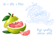 20 Tropical Fruits Icons Vector Set, an Object Graphic by Art of Sun (Thumbnail 2 of 3)