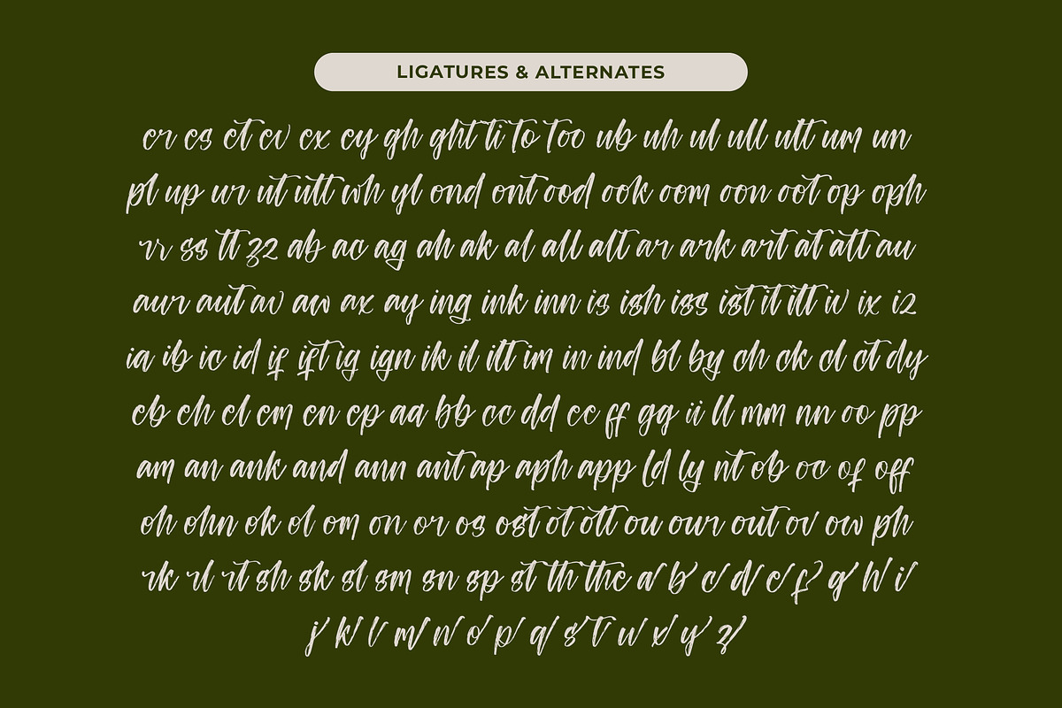 Ungkar Scripta Modern Brush Font, a Script Font by stylishtype.co (Photo 19 of 20)