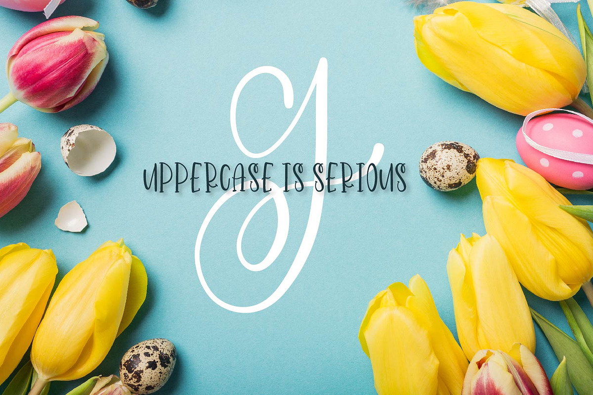 Monogram Font & Doodle Alternatives preview 8