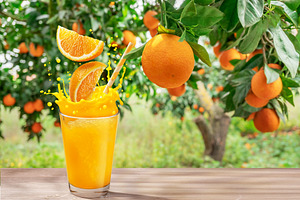 Glass of orange juice with splash, a Food & Drink Photo by Volff