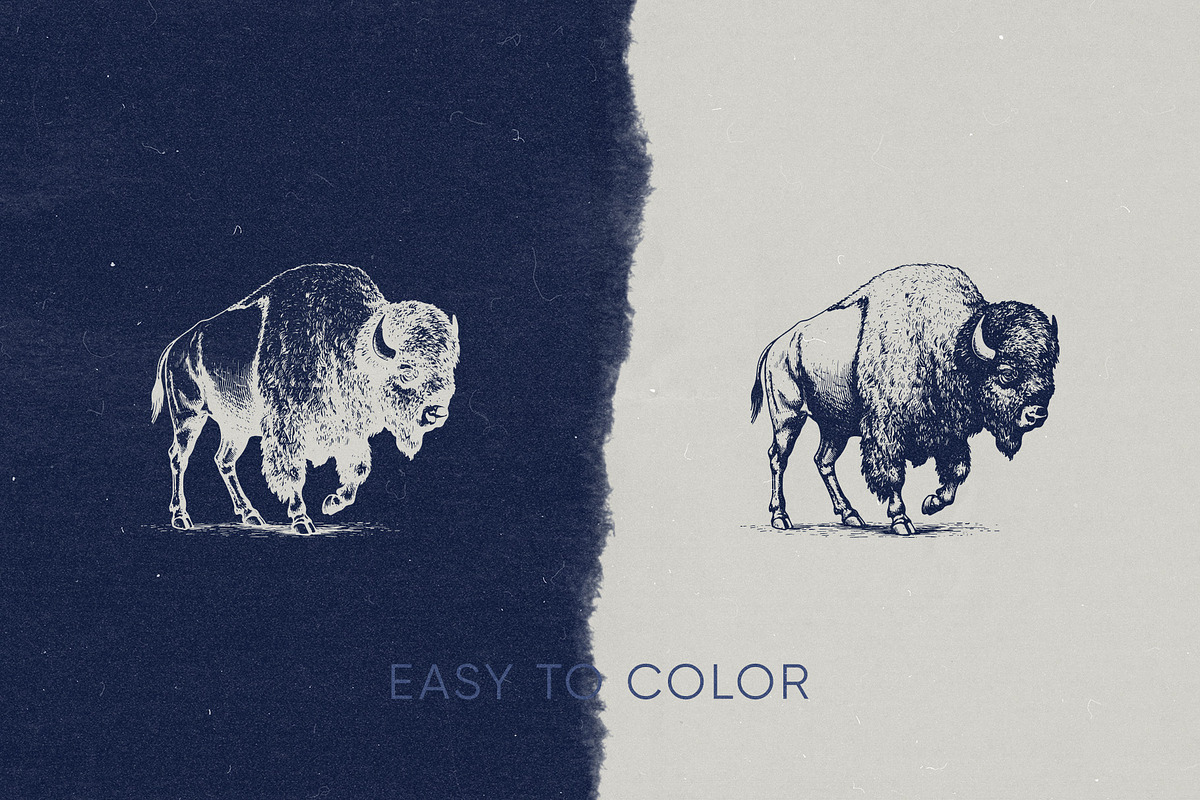 Wild Wonders: Safari Illustrations, an Animal Illustration by elliazidi.designs (Photo 7 of 9)