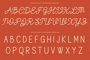 Gellica Soft - Handwritten Font Duo, a Handwritten Font by Font Liner (Thumbnail 11 of 13)