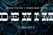 Cayuse Lo-Fi, a Slab Serif Font by William Hastings (Thumbnail 5 of 8)