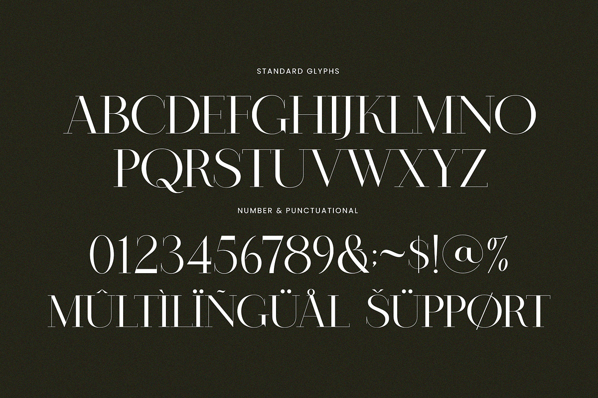Broke Elegant Serif Font Typeface, a Serif Font by Perfectype (Photo 7 of 7)