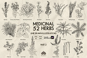 Medicinal Herbs part 2 + Procreate, a Healthcare Illustration by Skliarova (Thumbnail 1 of 6)