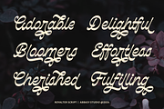 Royalter Script, a Script Font by Abbasy Studio (Thumbnail 5 of 10)