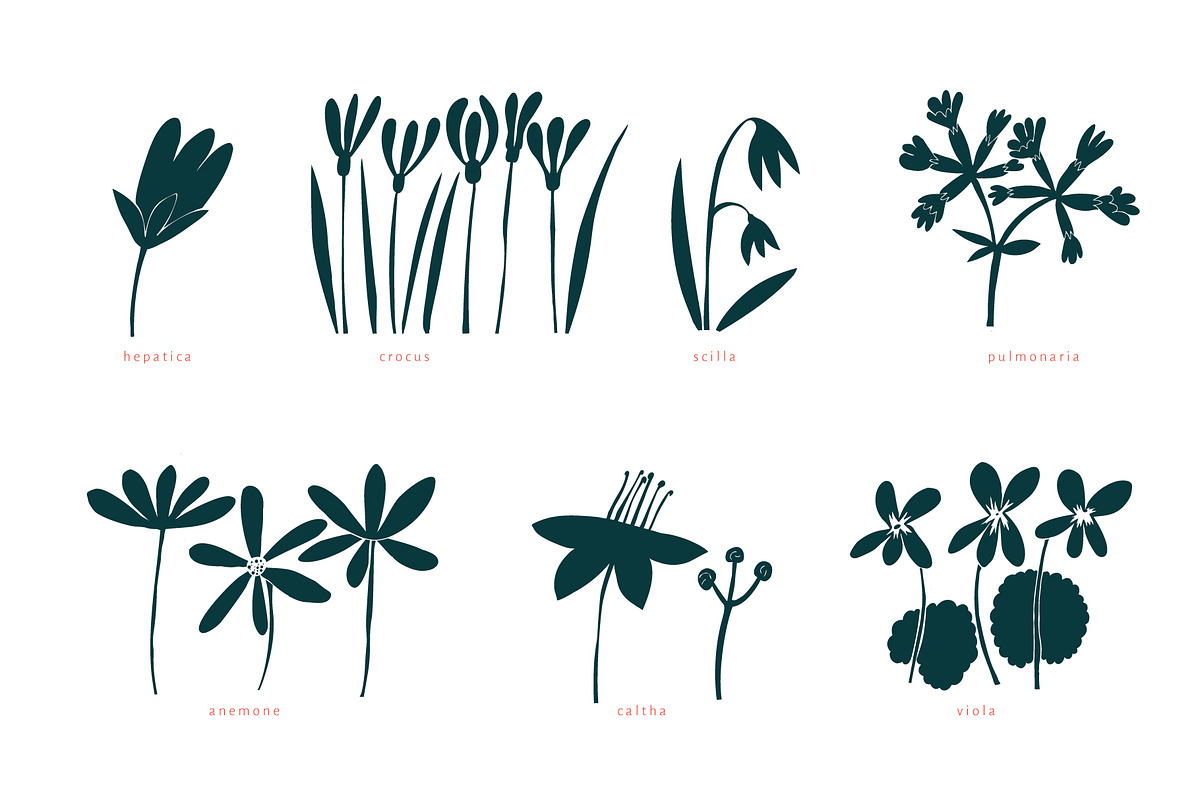 Spring Flowers Vector Collection, an Illustration by Lubov Illustrations Shop (Photo 3 of 6)