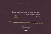 Leaf Imprints, Forest Scans & Paper, an Object Graphic by Purple (Thumbnail 18 of 20)