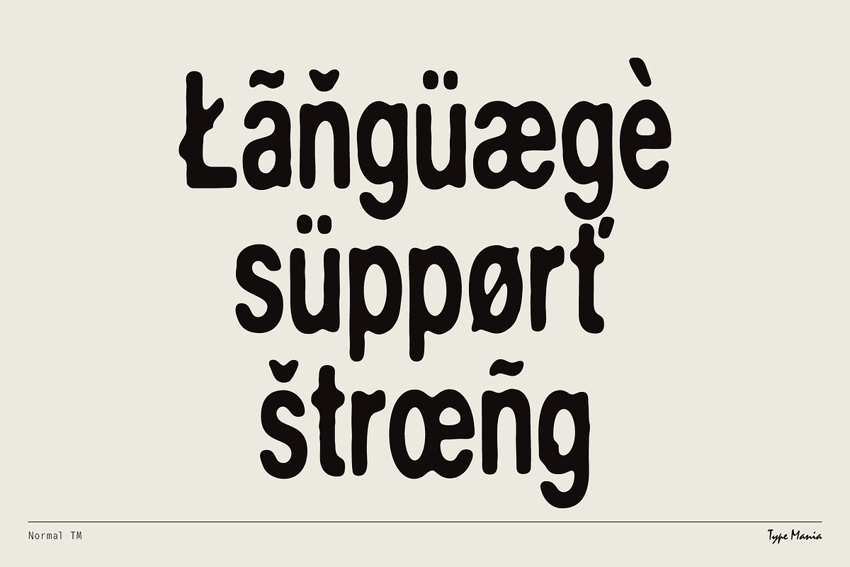 Normal TM – Gently Handled Grotesk, a Sans Serif Font by Type Mania (Photo 10 of 12)