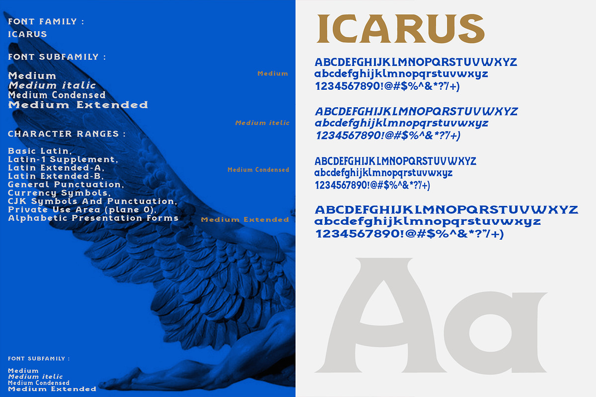 ICARUS - Serif font family, a Serif Font by Artistic & Unique (Photo 13 of 15)