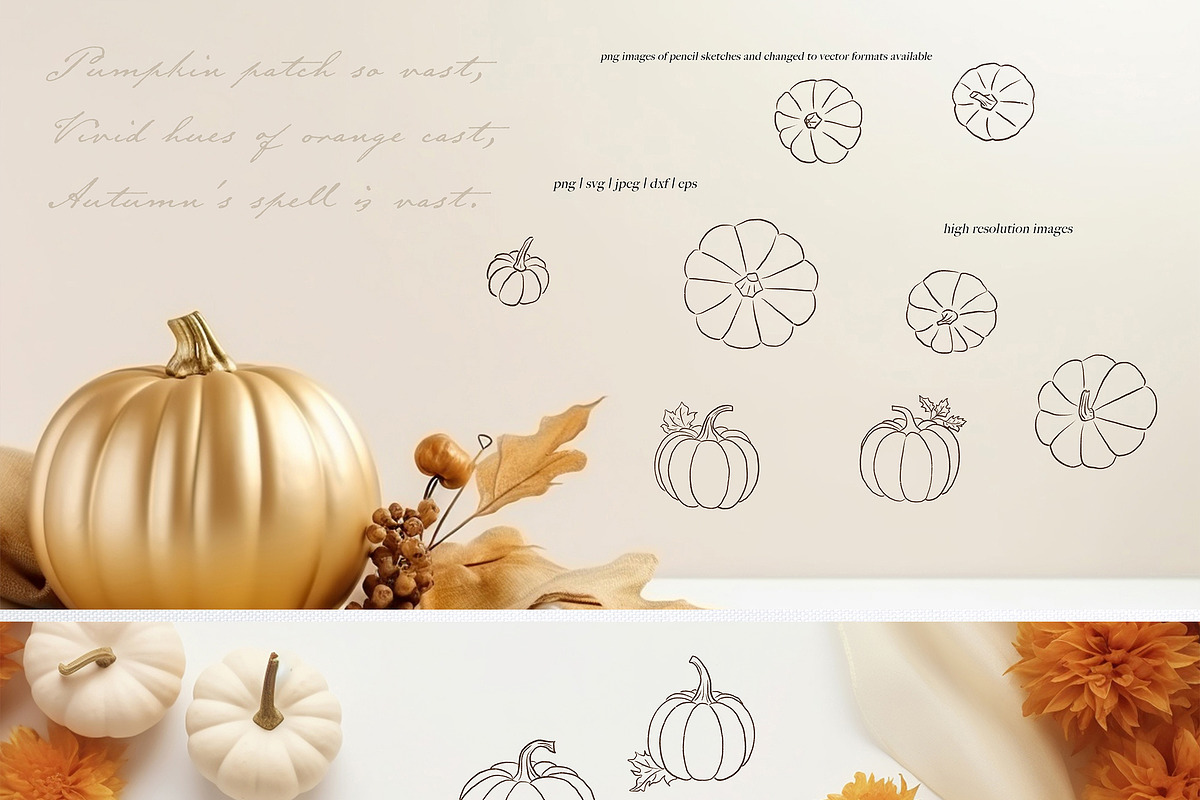 Pumpkin Line Art & Frames, a Decorative Illustration by Backyard Rose (Photo 3 of 13)