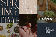 Gorga Font Duo – Modern Sans & Serif, a Serif Font by VP Fonts (Thumbnail 5 of 18)