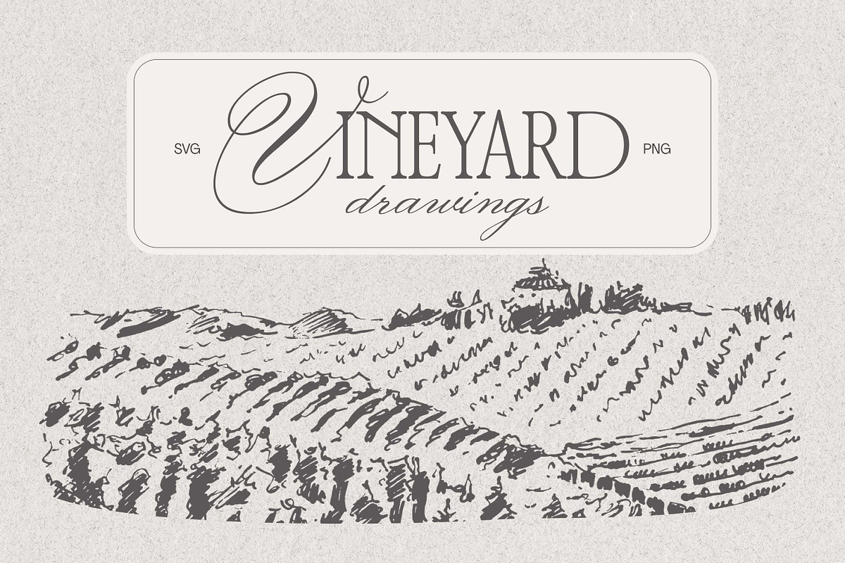 Vineyard drawings, a Decorative Illustration by TheMountBirdStudio (Photo 1 of 8)