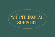 Violetta Estrada - Elegant Luxury, a Serif Font by Qweera Studio (Thumbnail 12 of 12)