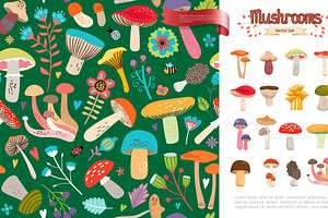 Summer forest mushrooms concept