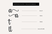 Danilla - Beautiful Handwritten, a Handwritten Font by Letterayu Studio (Thumbnail 2 of 6)