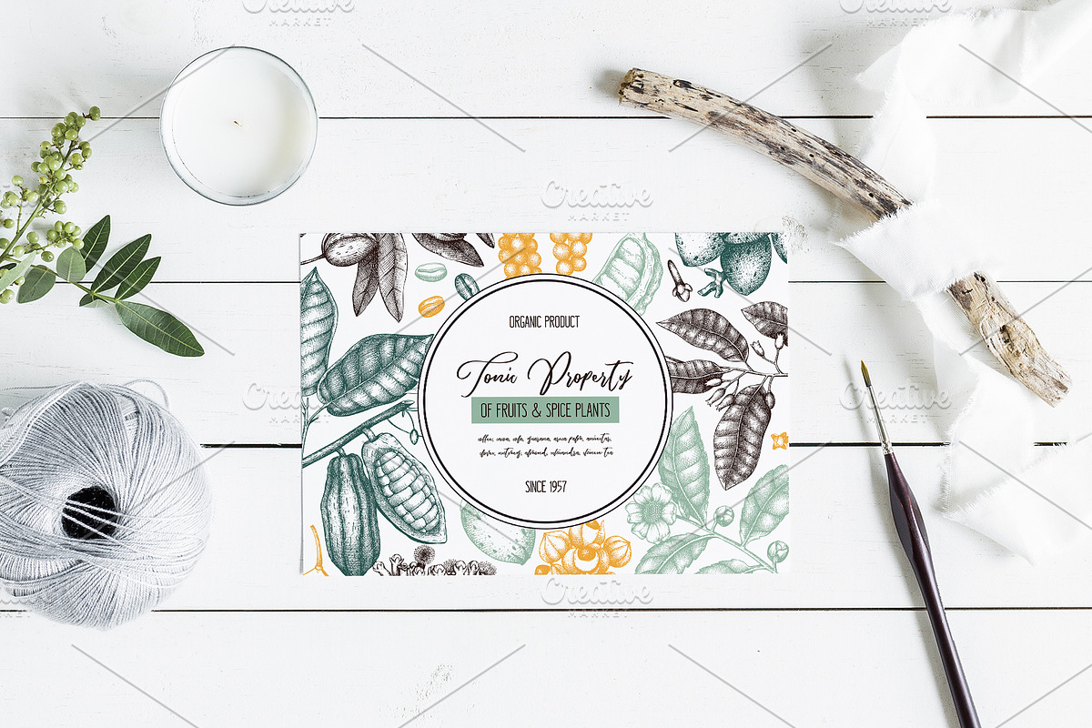 Exotic plant and fruit sketches set, a Food Illustration by Yevheniia (Photo 7 of 11)