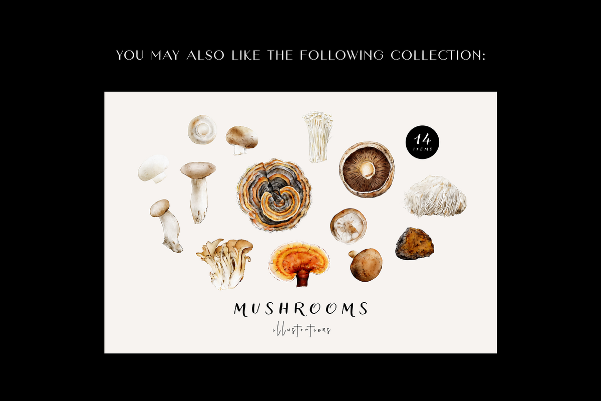 Mushrooms illustrations. Fungi set, a Food Illustration by Diana Askarova Art (Photo 6 of 6)
