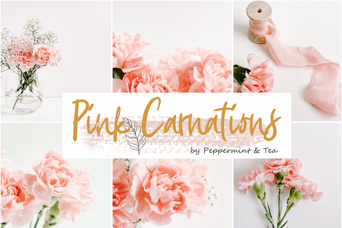 Pink Carnations Bundle, a Product Mockup by Peppermint &Tea (Photo 1 of 6)