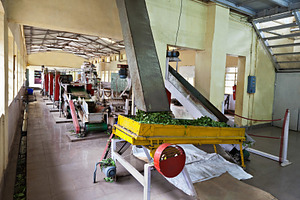 Tea factory, India, a Photo by saiko3p