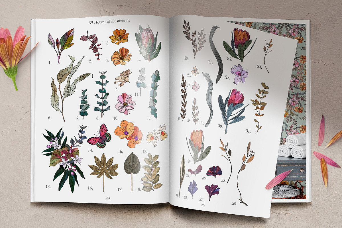 English garden, a Decorative Illustration by LanaDzi (Photo 2 of 11)