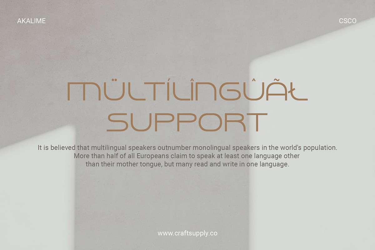 Akalime – Monoline Font, a Sans Serif Font by Craft Supply Co. (Photo 4 of 8)