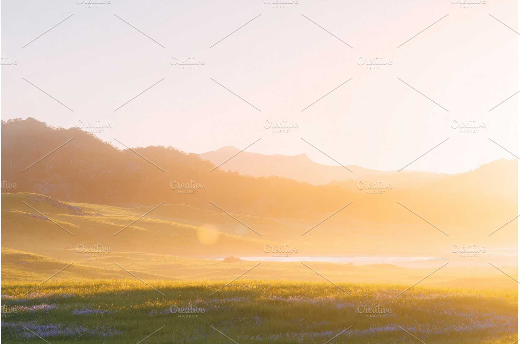 This Arkansas image captures the, a Nature Photo by ZinetroN