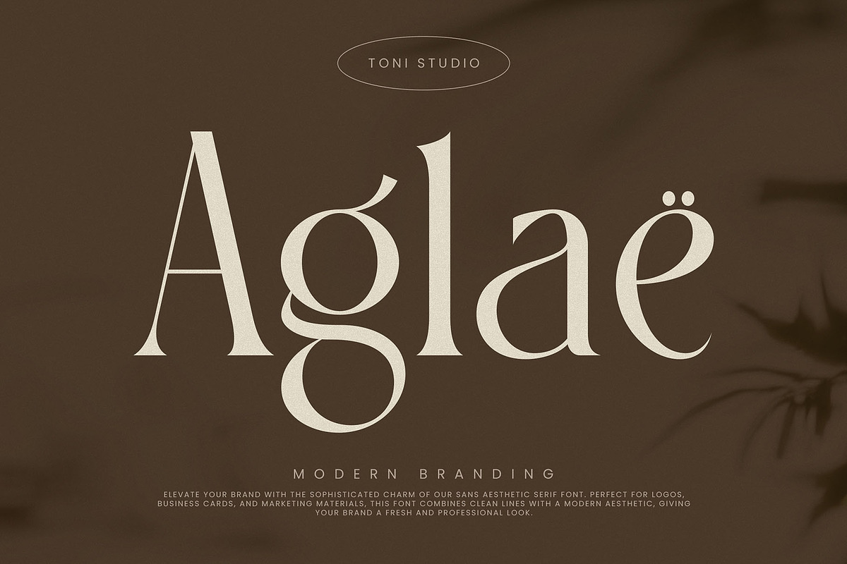 FRISTA || modern ligature, a Serif Font by ToniStudio (Photo 9 of 12)