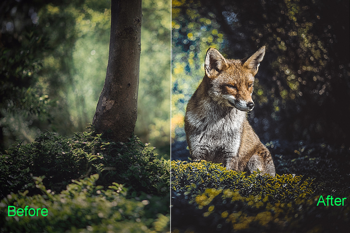 Dramatic Photoshop Actions Bundle, an Action Add-On by ARTNEST (Photo 4 of 12)