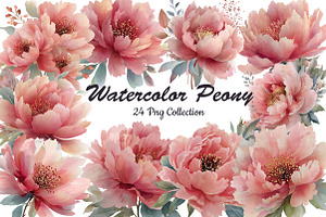 Peony watercolor clipart set