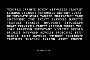 FLATBRUSH SLAB, a Slab Serif Font by SON OF THIRTEEN (Thumbnail 5 of 7)
