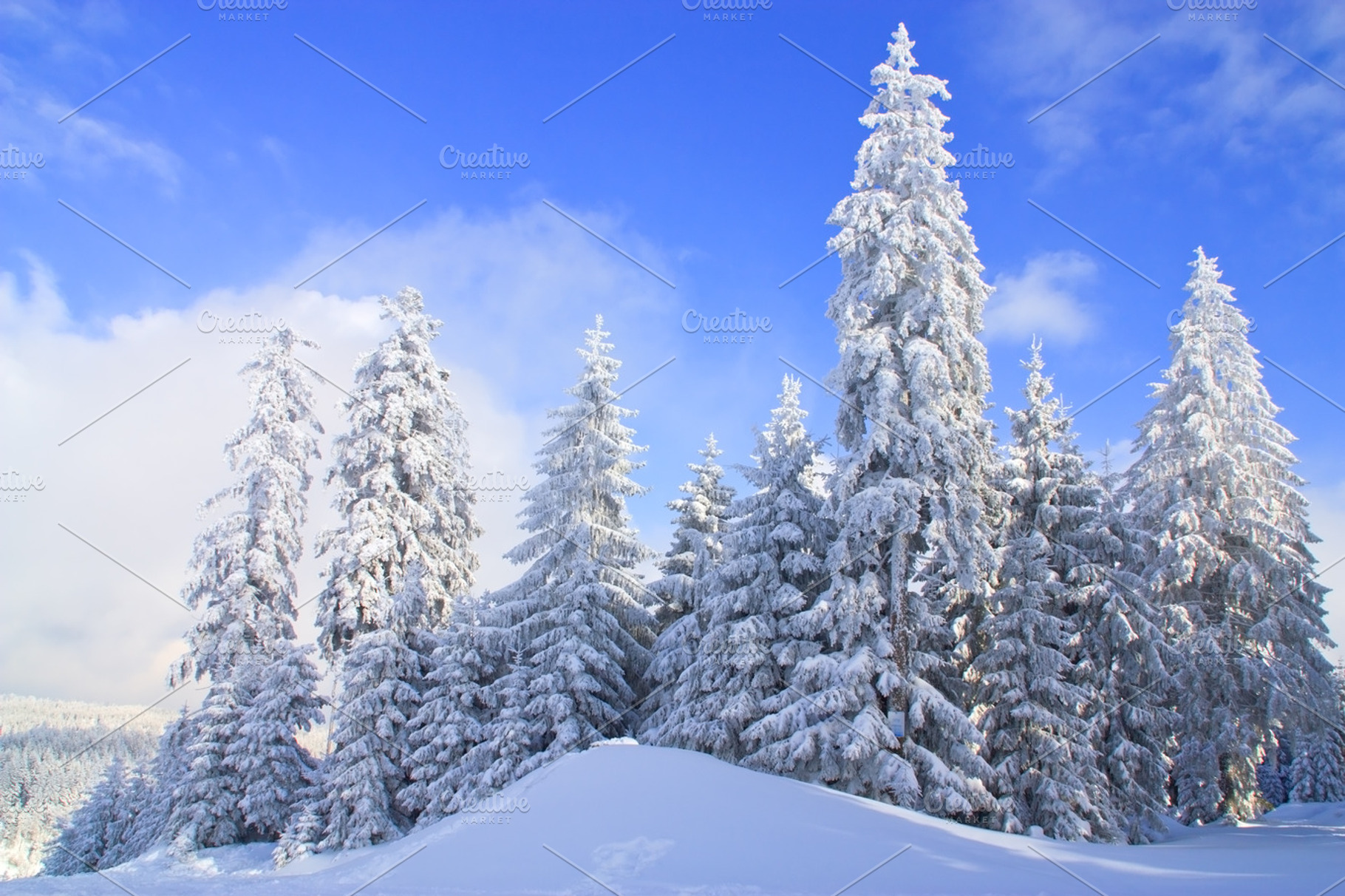 Winter Stock Photo Containing Winter And Snow