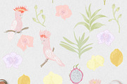 Solana tropical whimsy clipart, an Object Graphic by mila_leev (Thumbnail 3 of 10)