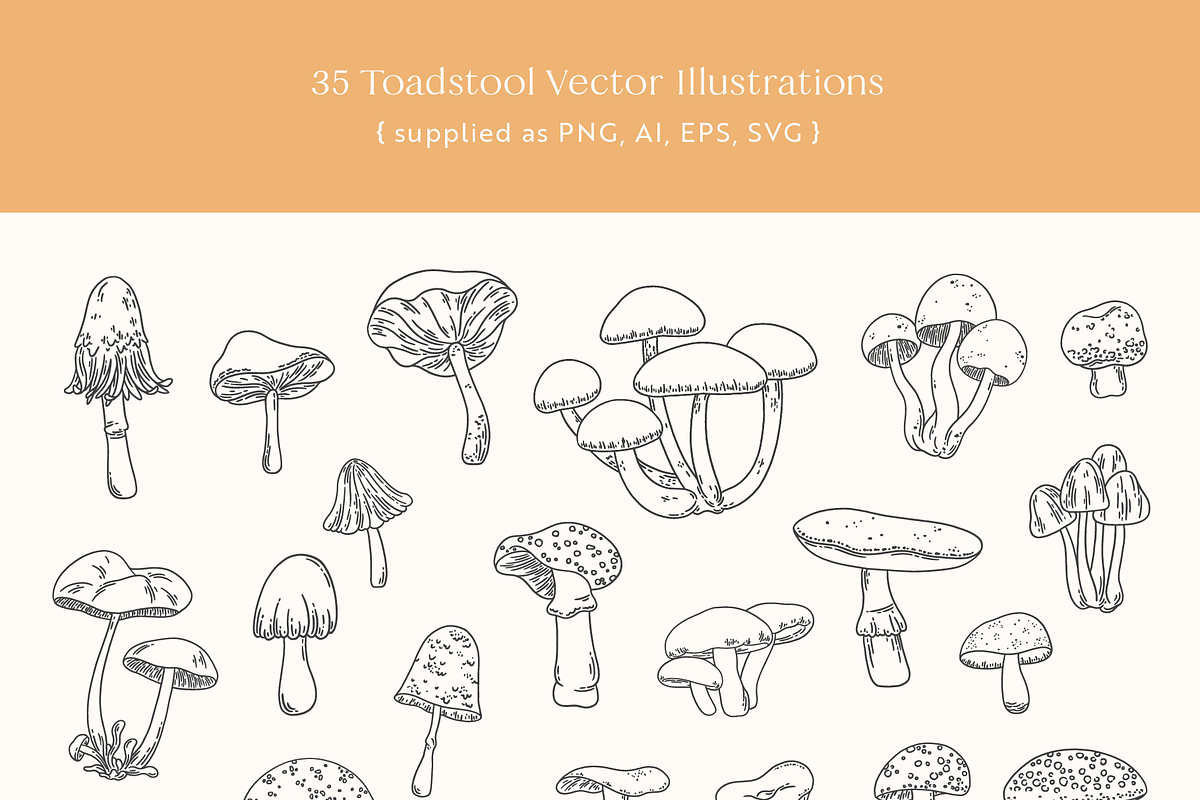 Toadstools Vector Illustrations, a Decorative Illustration by Emma Webb Studio (Photo 3 of 7)