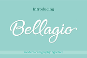 Elegant Script Font Bundle, a Script Font by Byuly Ayika (Thumbnail 10 of 34)