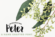PETER Hand Lettered Font, a Handwritten Font by Rhonna Designs (Thumbnail 1 of 3)