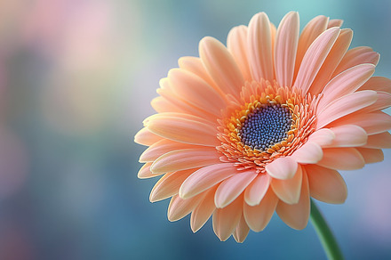 Macro photograph of a pastel orange, a Background Photo by Pixeness